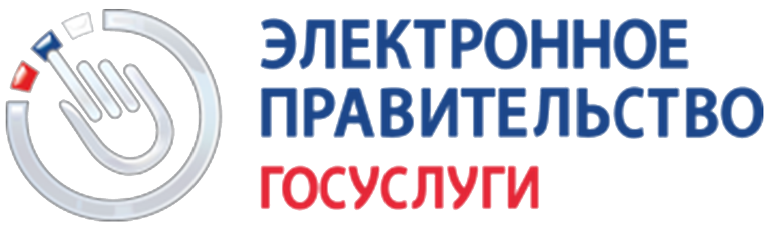 Электронное правит. Баннер электронное правительство госуслуги. Госуслуги. Электронное правительство России картинки. Государственный портал иконка.